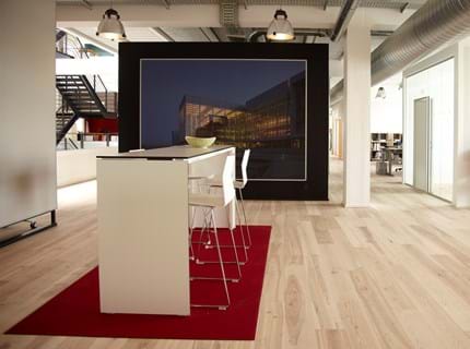 bygningsstyrelsen_29 rød., Fraster filt tæppe